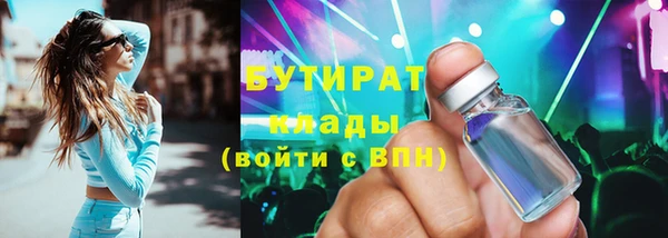 прущие грибы Гусев