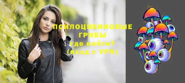 крисы Гусиноозёрск