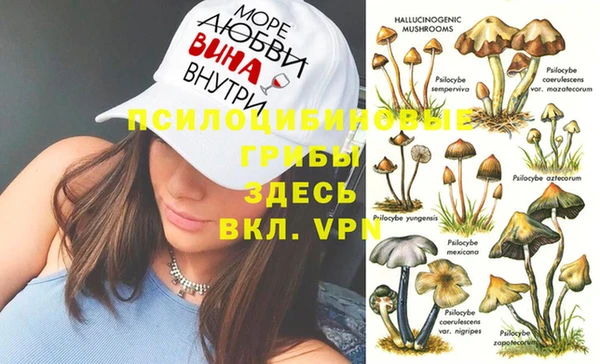 крисы Гусиноозёрск