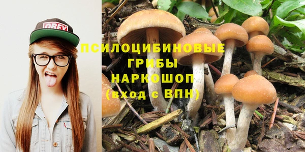 a pvp Дмитриев