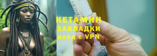 прущие грибы Гусев
