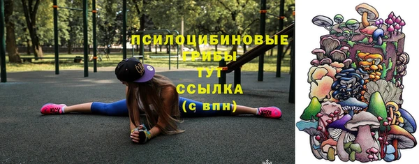 прущие грибы Гусев
