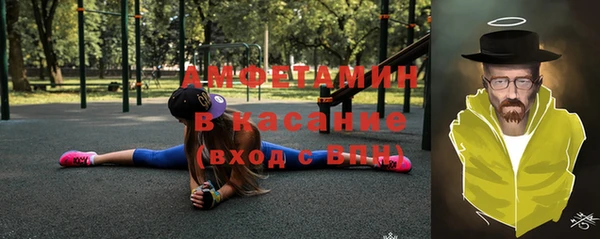 прущие грибы Гусев