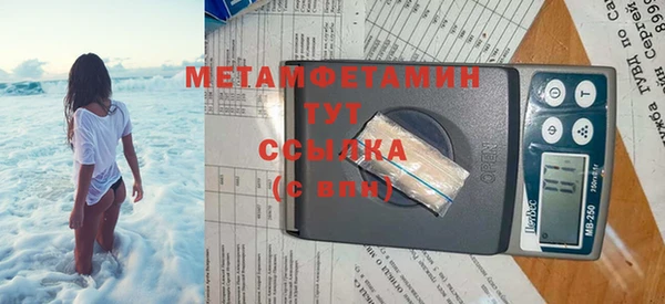 прущие грибы Гусев