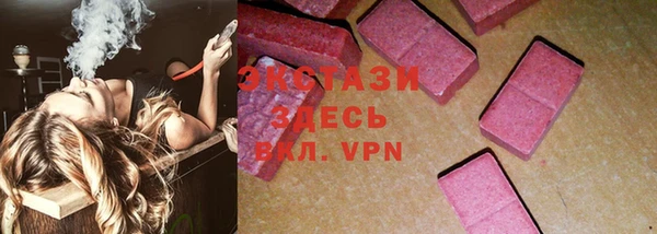 прущие грибы Гусев