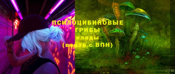 прущие грибы Гусев